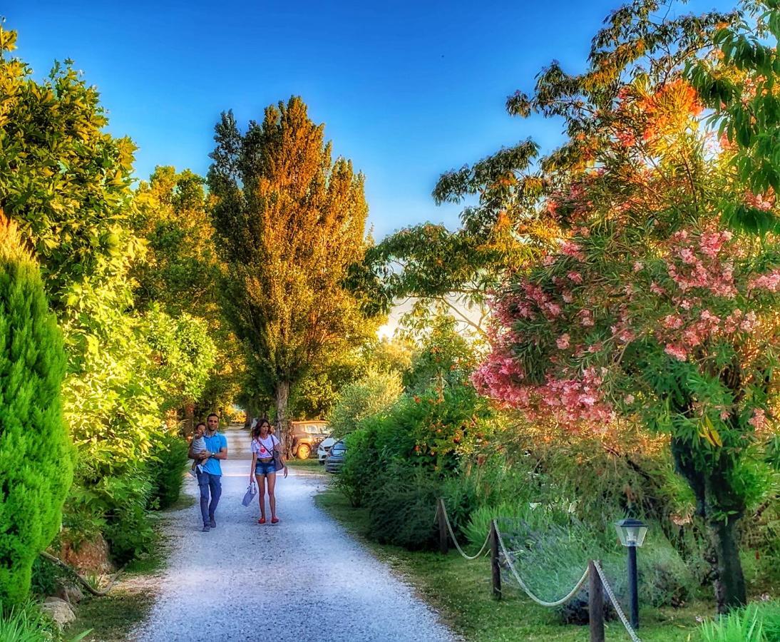 International Glamping Lago Di Bracciano Trevignano Romano Exterior foto